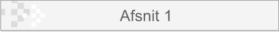 Afsnit 1